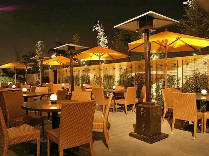 Miyako Hybrid Torrance
